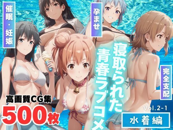 寝取られた青春ラブコメ 〜水着編〜Vol.2-1 もふもふピクセルズのトップ画像